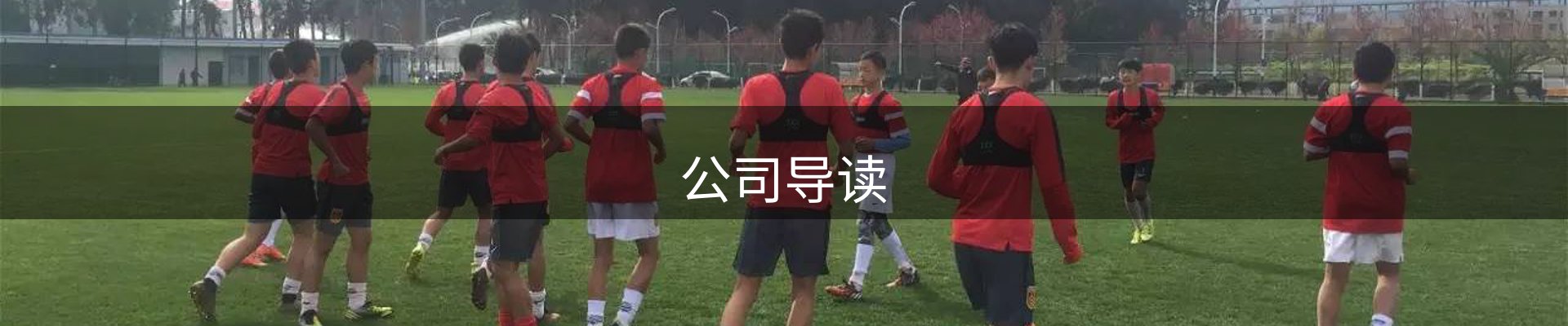 公司导读