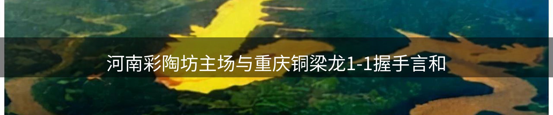 公司导读